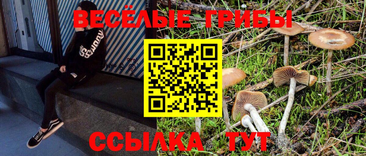 Псилоцибиновые грибы Magic Shrooms Тихорецк