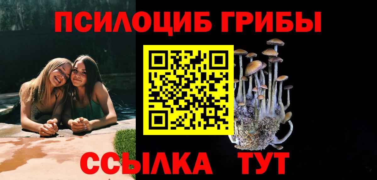 Галлюциногенные грибы MAGIC MUSHROOMS  Вход с VPN  Тихорецк 